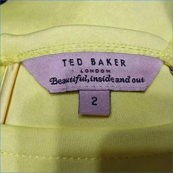 Ted Baker Fit and Flare Dress - Womens Elegant Fashion - Stylish Cocktail Attire - Picture 4 of 5